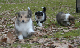 bild7
