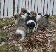 bild8