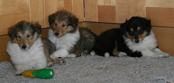 bild12
