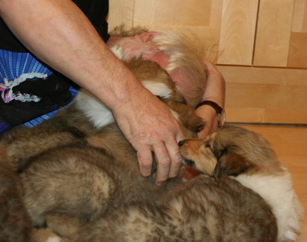 bild13