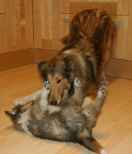 bild15