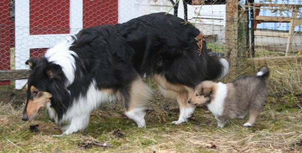 bild3