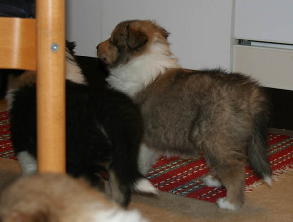 bild6