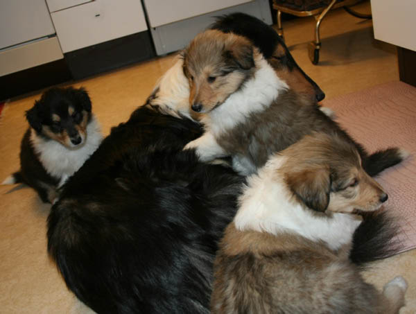bild8