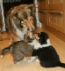 bild11