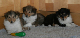 bild12
