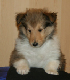 bild14
