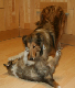 bild15