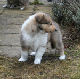 bild2