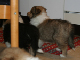 bild6