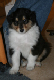 bild7