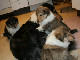 bild8