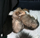 bild9