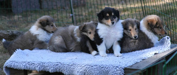 bild21