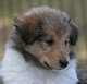 bild10