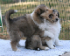 bild11