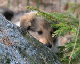 bild12
