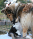 bild13