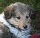 bild14