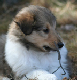 bild15