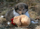 bild16