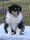 bild17