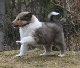bild4