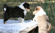 bild5