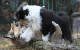 bild6