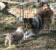 bild7