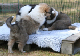 bild8