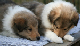 bild9