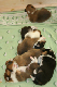 16dygn3
