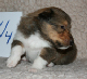 3vnr1b