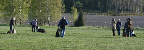 bild10