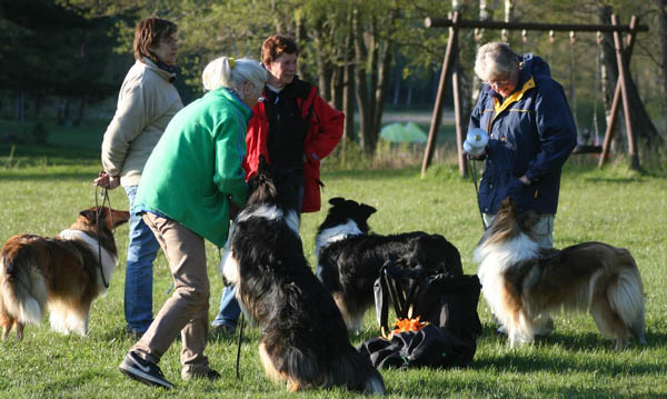 bild12