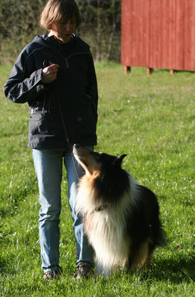 bild13