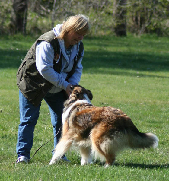 bild20