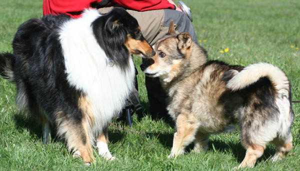 bild23