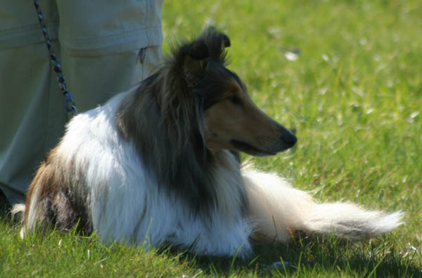bild29