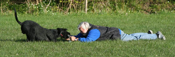 bild3