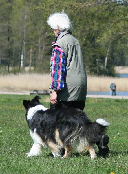 bild38