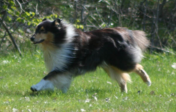 bild41