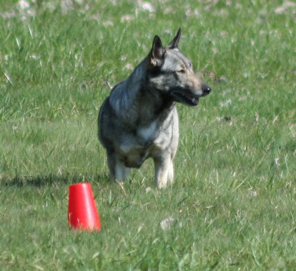 bild43