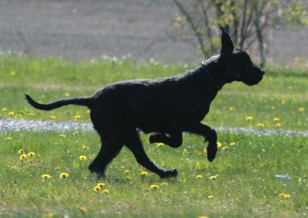 bild45