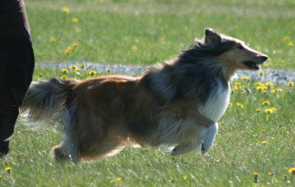 bild52