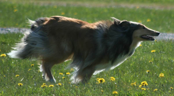 bild53