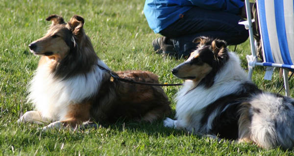 bild6