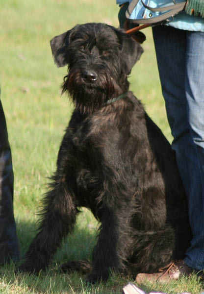 bild7
