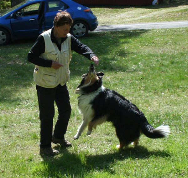 bild71